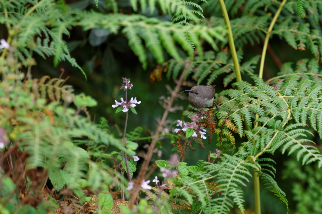 08 - Blyde River Canyon NP (10).jpg